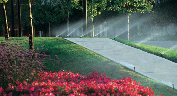 Beautiful Landscape irrigation