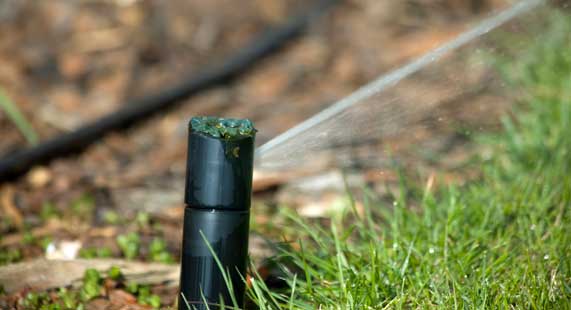 Irrigation and Landscape Lighting servicing by University Sprinklers